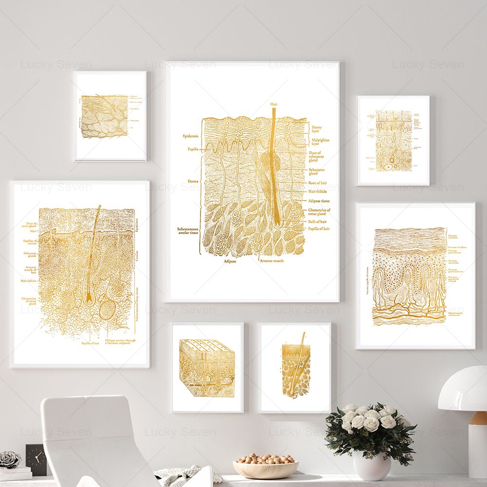 Skincare Ls - (2D canvas painting) Skin Care Anatomy